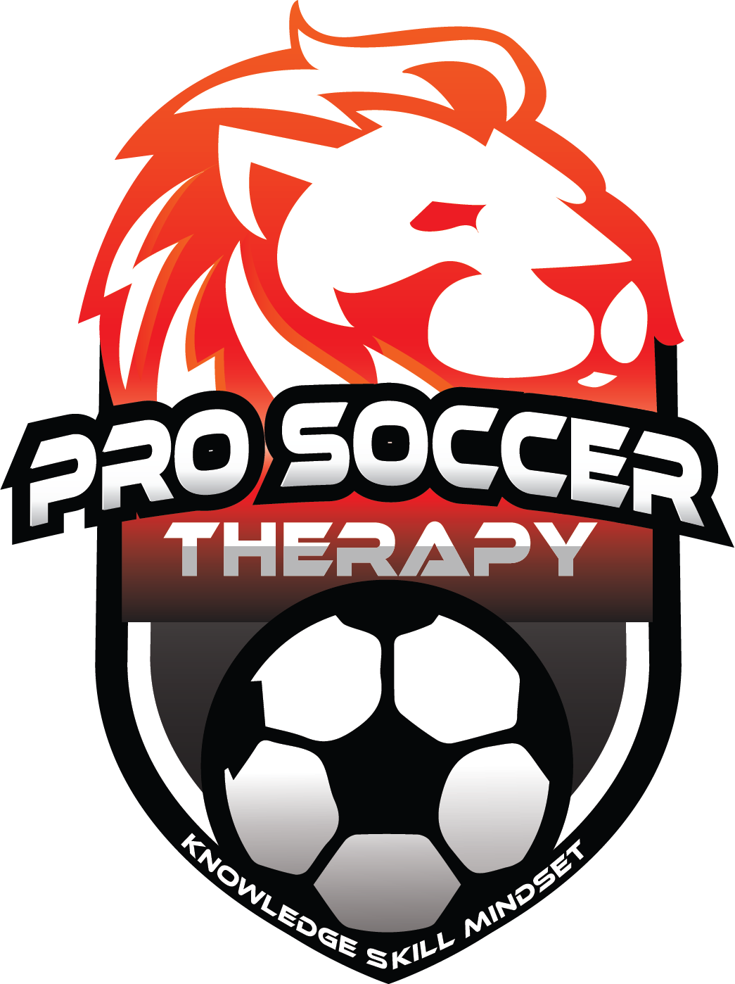 Prosoccertherapy